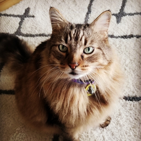 Meet your Posher, Cara! 🌠 - Picture 2 of 2